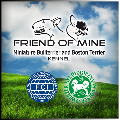 FRIEND OF MINE - hodowla psów rasowych